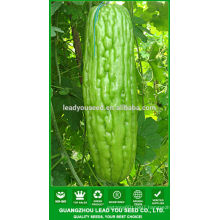 NBG02 Kugua high quality hybrid bitter gourd seeds bottle gourd seed